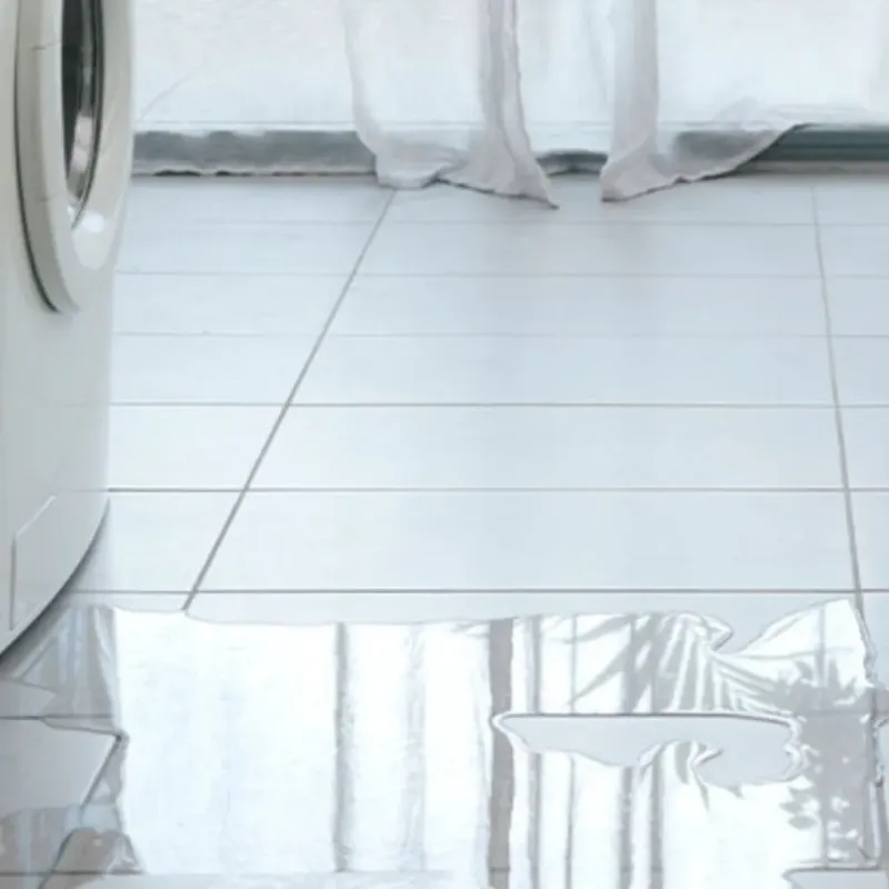 Appliance Leak Cleanup in Chelsea, AL