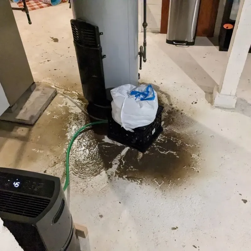 Sewage Backup Cleanup Service in Chelsea, AL